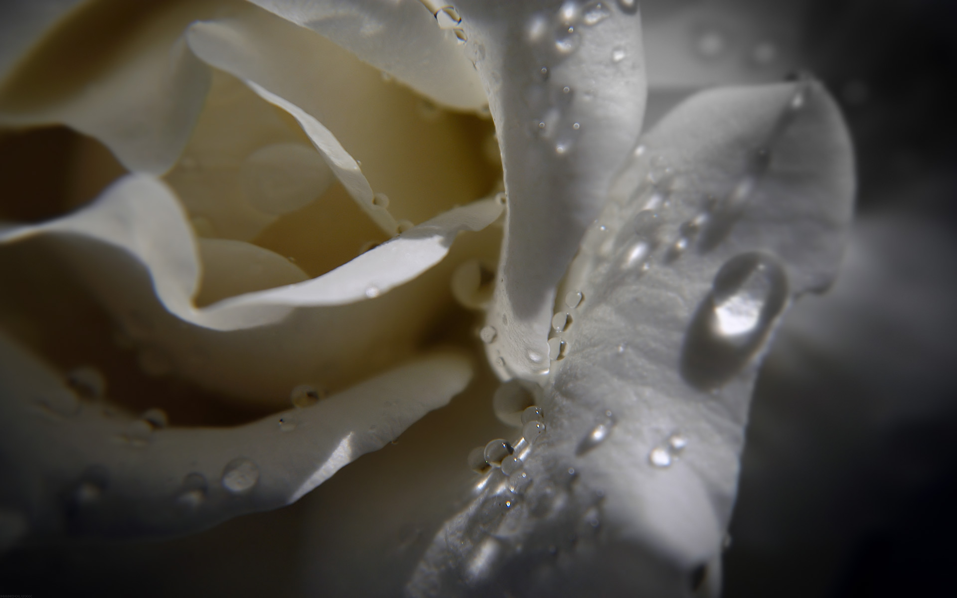 Wallpapers widescreen HQ - Fonds d ecran large HD - 0903
